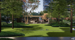 皆有分歧不雅感体验